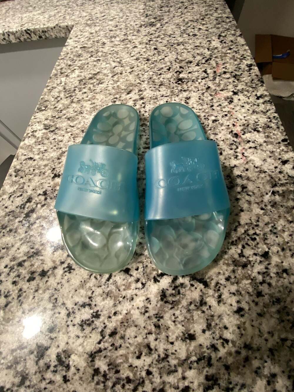Coach Ulyssa Jelly Pool Slide Sandals in Sea Mist